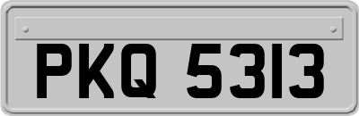 PKQ5313