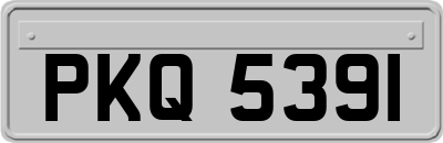 PKQ5391