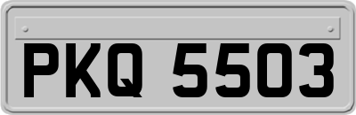 PKQ5503