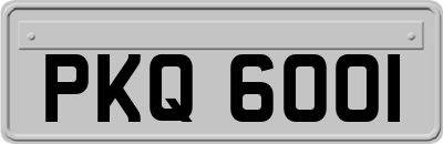 PKQ6001