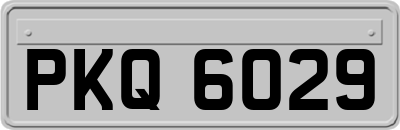 PKQ6029