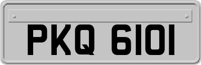 PKQ6101