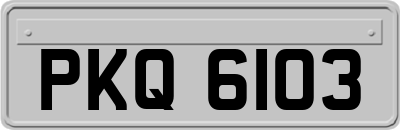 PKQ6103