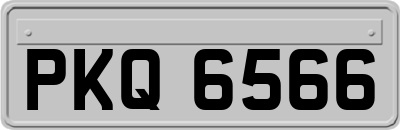 PKQ6566