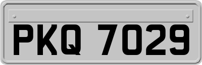 PKQ7029