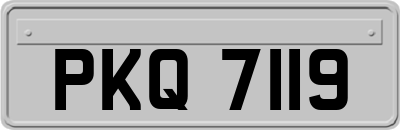 PKQ7119