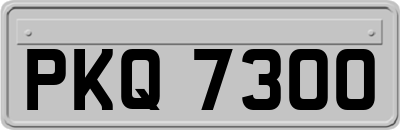 PKQ7300