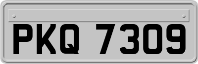 PKQ7309