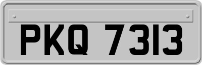 PKQ7313