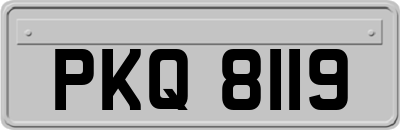 PKQ8119