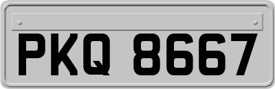 PKQ8667