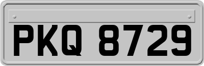 PKQ8729