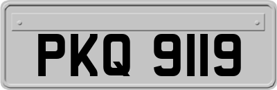 PKQ9119