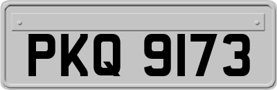 PKQ9173