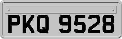 PKQ9528