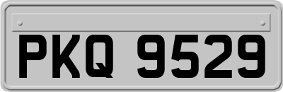 PKQ9529