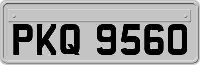 PKQ9560