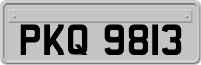 PKQ9813