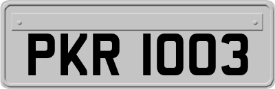PKR1003
