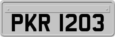 PKR1203