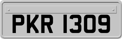 PKR1309