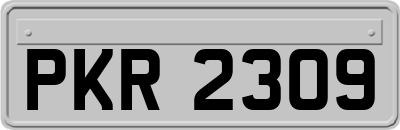 PKR2309