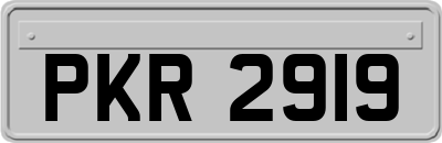 PKR2919