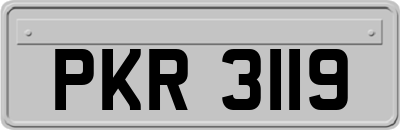 PKR3119