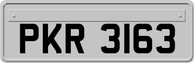 PKR3163