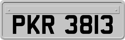 PKR3813