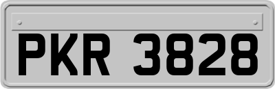 PKR3828