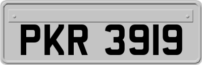 PKR3919