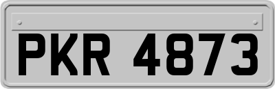 PKR4873