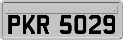 PKR5029