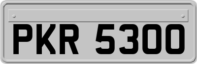 PKR5300