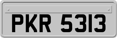 PKR5313