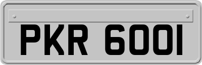 PKR6001