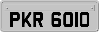 PKR6010