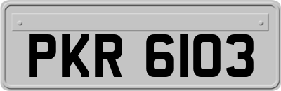 PKR6103