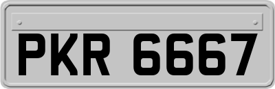 PKR6667