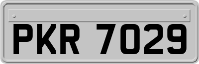 PKR7029