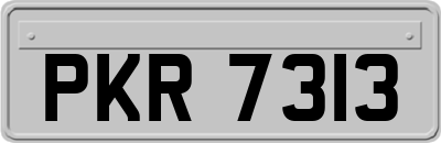 PKR7313