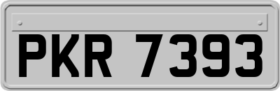 PKR7393