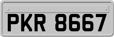 PKR8667