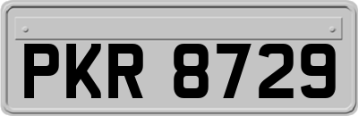 PKR8729