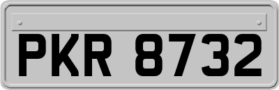 PKR8732