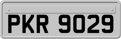 PKR9029