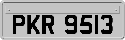 PKR9513