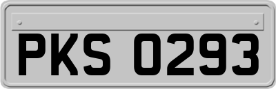 PKS0293