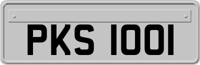 PKS1001